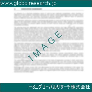 グローバルリサーチ調査資料のイメージ